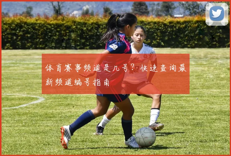 体育赛事频道是几号?快速查询最新频道编号指南