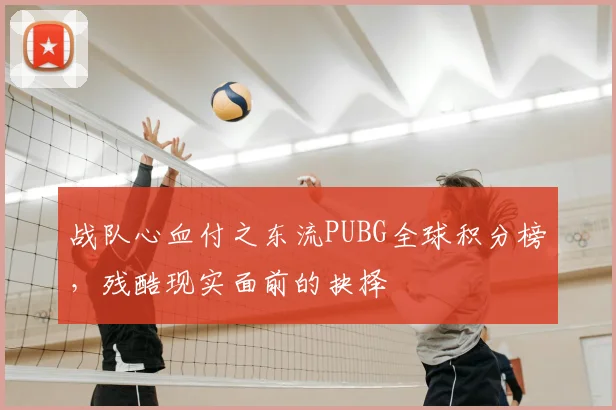 战队心血付之东流PUBG全球积分榜，残酷现实面前的抉择