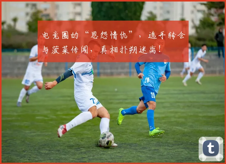 电竞圈的“恩怨情仇”,选手转会与菠菜传闻,真相扑朔迷离!