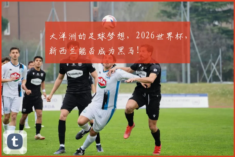大洋洲的足球梦想，2026世界杯，新西兰能否成为黑马！