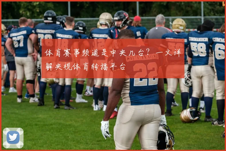 体育赛事频道是中央几台?一文详解央视体育转播平台