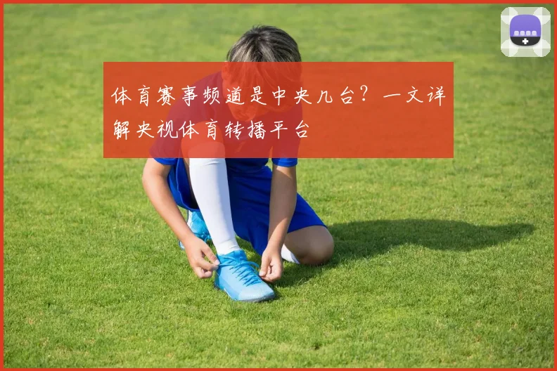 体育赛事频道是中央几台?一文详解央视体育转播平台
